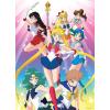 Sailor Moon: Sailor Guardians 1,000 Piece Puzzle