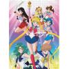 Sailor Moon: Sailor Guardians 1,000 Piece Puzzle